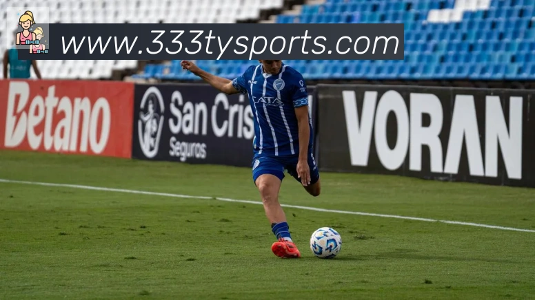 333体育平台生态图