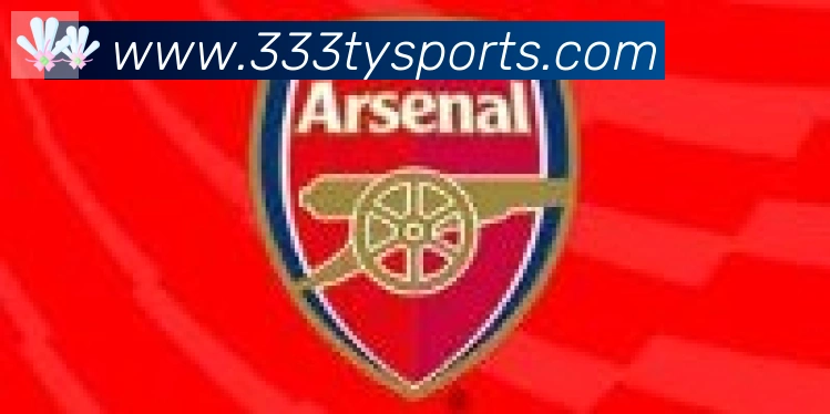 333体育合作伙伴